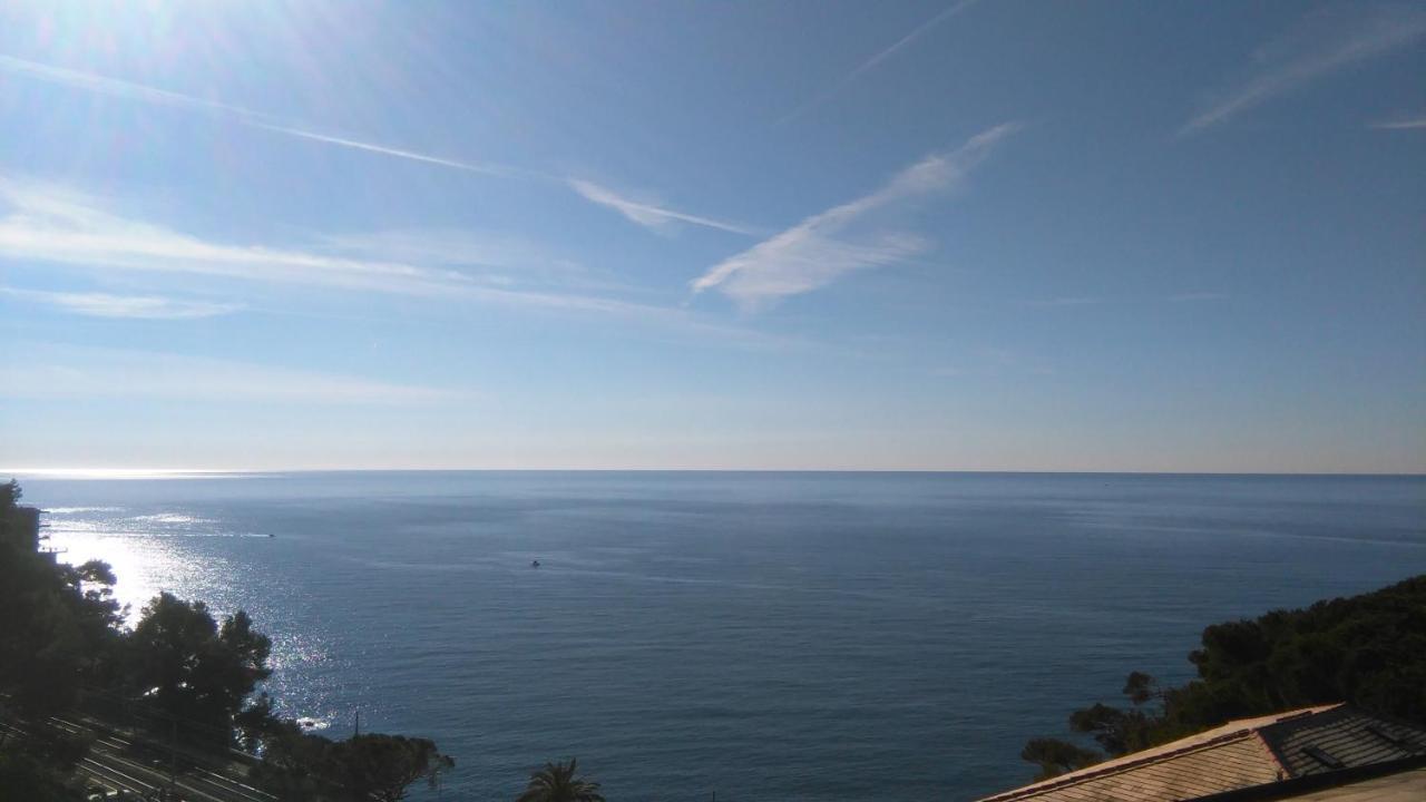 Mare E Vista Portofino - Sea And Portofino View Дзоальи Экстерьер фото