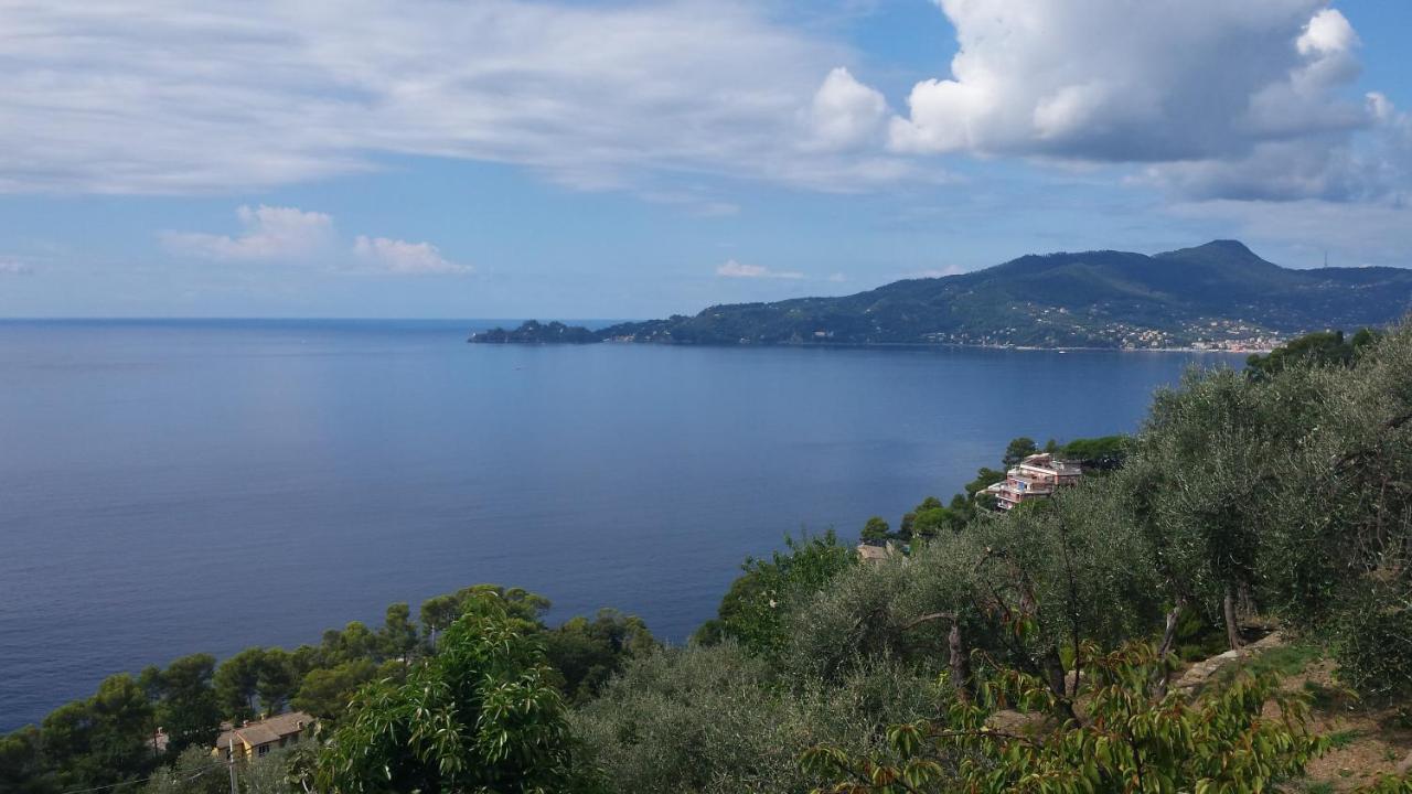 Mare E Vista Portofino - Sea And Portofino View Дзоальи Экстерьер фото