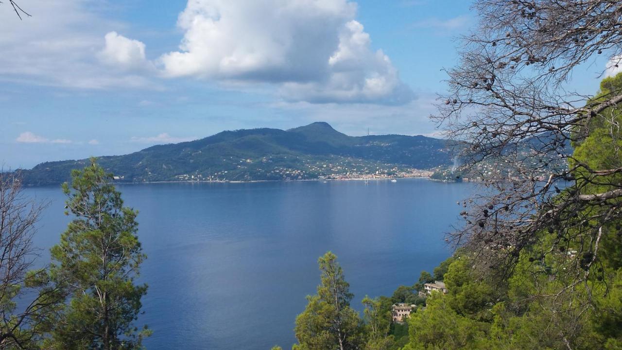 Mare E Vista Portofino - Sea And Portofino View Дзоальи Экстерьер фото