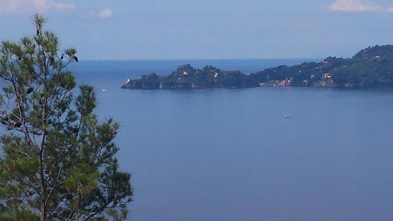 Mare E Vista Portofino - Sea And Portofino View Дзоальи Экстерьер фото